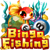 Bingo Fishing bingo plus online fishing
