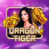 Dragon Tiger bingo plus online live casino