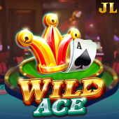 Wild Ace bingo plus online slot